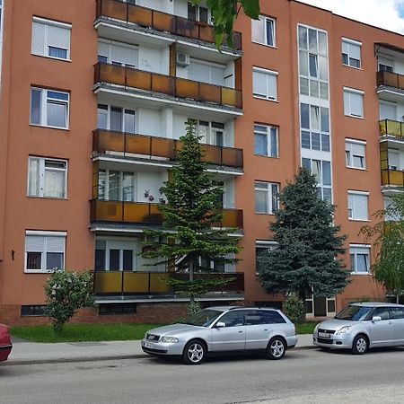 Apartament Veszprem Kucko Zewnętrze zdjęcie